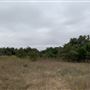 Ward Ranch