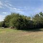 Ward Ranch