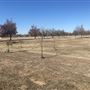 Eldon Lyon Park