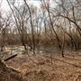 Deep Fork National Wildlife Refuge