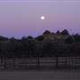 Newton Ranch