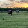Long Farm (Skiatook)