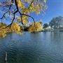 Oak Spring Retreat