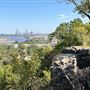 Chandler Park