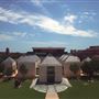 Fred Jones Jr. Museum of Art - University of Oklahoma