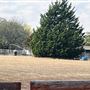 Tipton Horse Ranch
