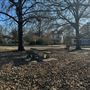 Gulick Park