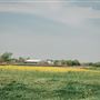 Perry Cornfield
