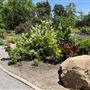 Will Rogers Gardens
