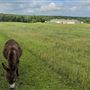 Stone Bluff Ranch