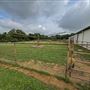 Stone Bluff Ranch