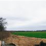 Patchell Farm