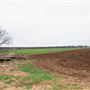 Patchell Farm