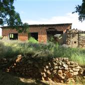 Tunder Farms