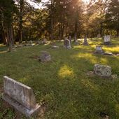 Molly Field Cemetery