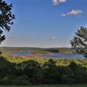 Timberline Drive Landscape
