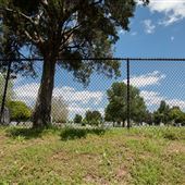 RoseHill Cemetery