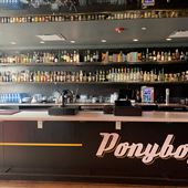 Ponyboy