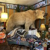 Where The Buffalo Roam Boutique