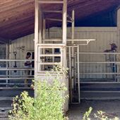 Long Farm (AT)