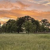 Coal Creek Farm