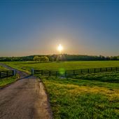 Jarrett Farm Resort