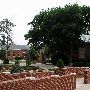 East Central University