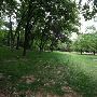 E.C. Hafer Park