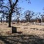 Mineral Wells Park