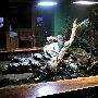 Oklahoma Aquarium - Jenks