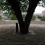 Oklahoma City National Memorial & Museum
