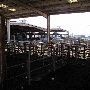 Oklahoma City Stockyards