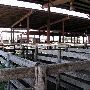 Oklahoma City Stockyards