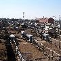 Oklahoma City Stockyards
