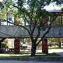 Saint Gregory's University