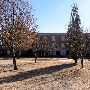 University of Science and Arts of Oklahoma- Willard Hall