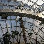 Myriad Botanical Gardens