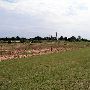 Tatanka Ranch