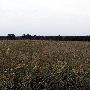 Tatanka Ranch