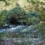 Beavers Bend & Hochatown State Park Lodge
