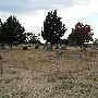 Gracelawn Cemetery