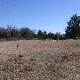 Piper Cemetery
