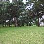 Pauls Valley Home 3