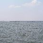 Grand Lake