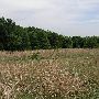 Sugarloaf Ranch