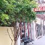 Arnies Bar