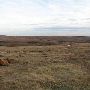 Hughes Ranch