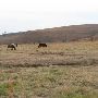 Hughes Ranch