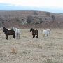Hughes Ranch
