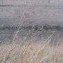 Hughes Ranch